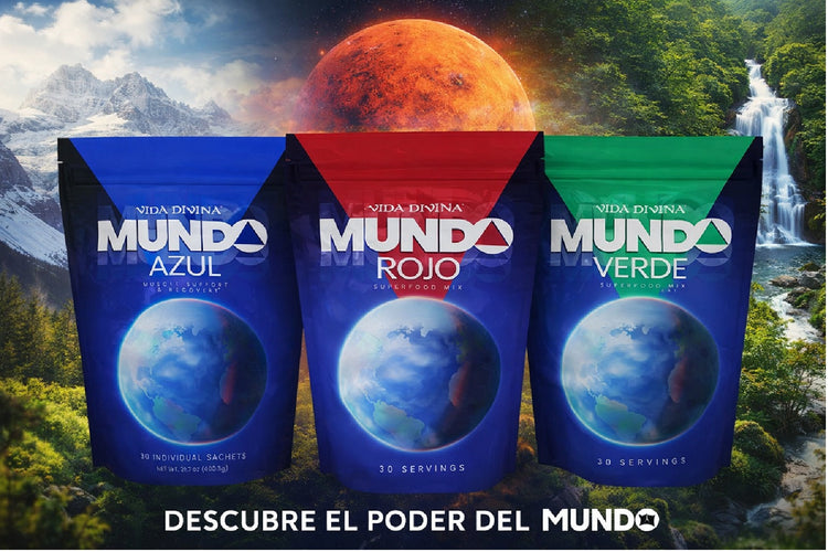 BEBIDAS FUNCIONALES