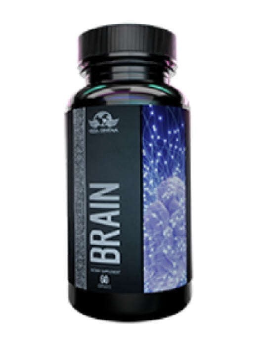 BRAIN - Vida Divina